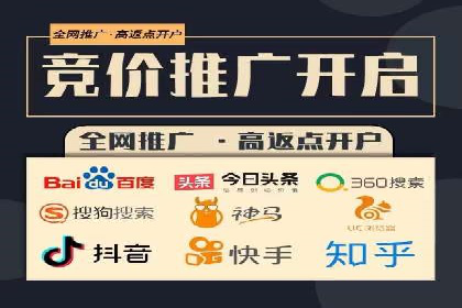 案例解读：SEO与SEM优化助力电商崛起